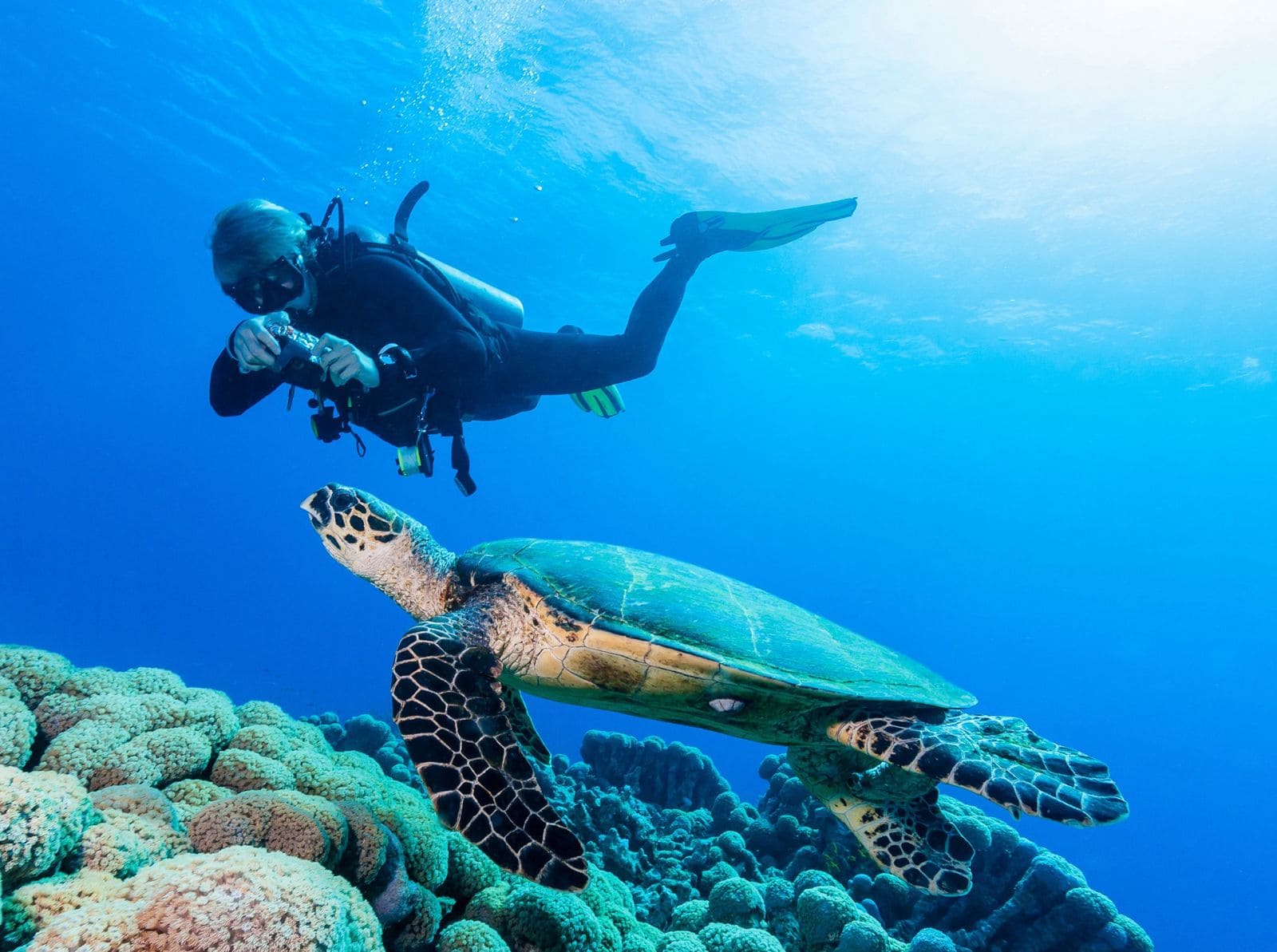 Underwater adventure experience in Bimini