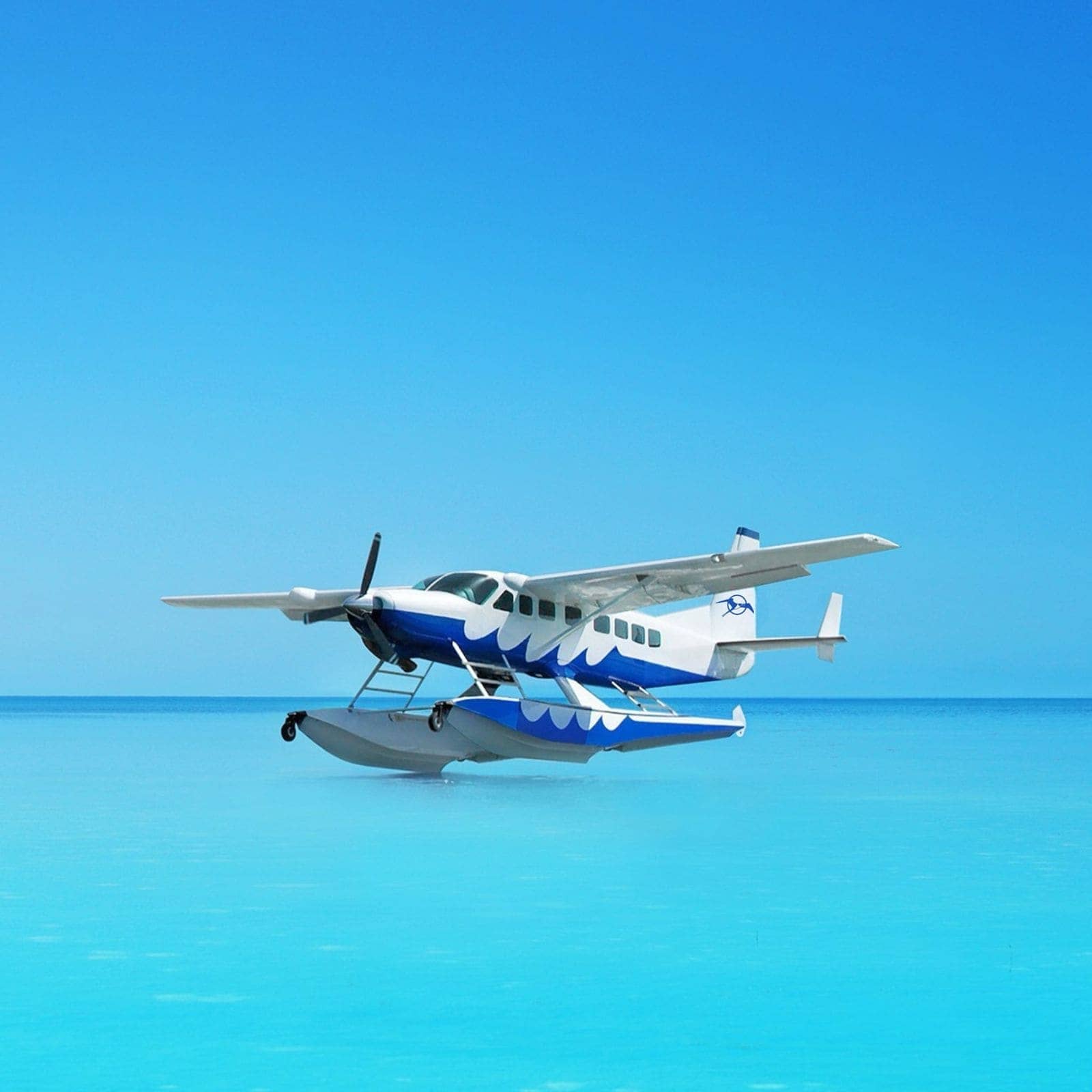 Snorkeling and ocean adventure in Bimini