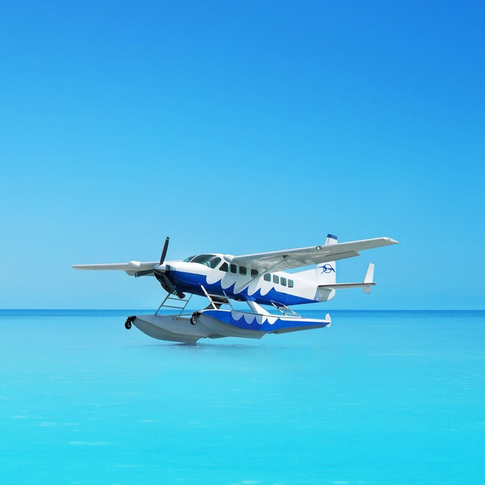 Snorkeling and ocean adventure in Bimini
